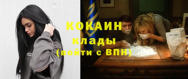 крисы Балахна