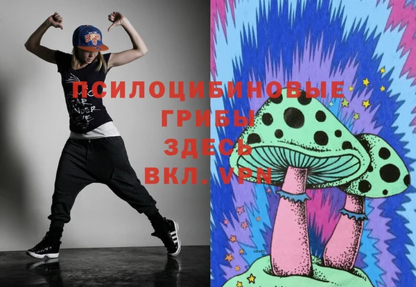 apvp Баксан