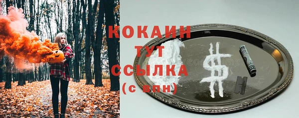 крисы Балахна
