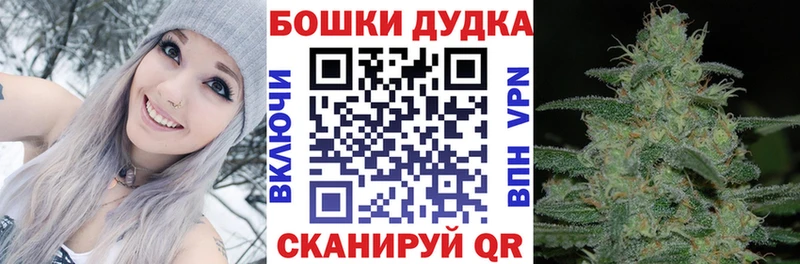Шишки марихуана индика  где продают   маркетплейс состав  Бокситогорск 